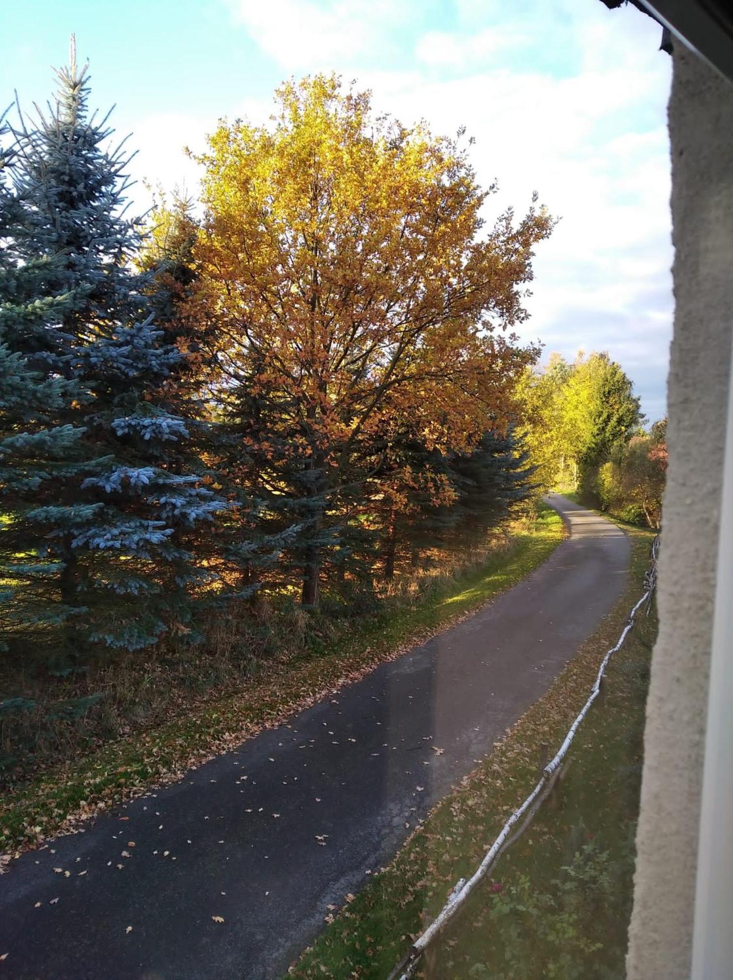 Roze I Jablonie Agroturystyka Gryfow Slaski Luaran gambar