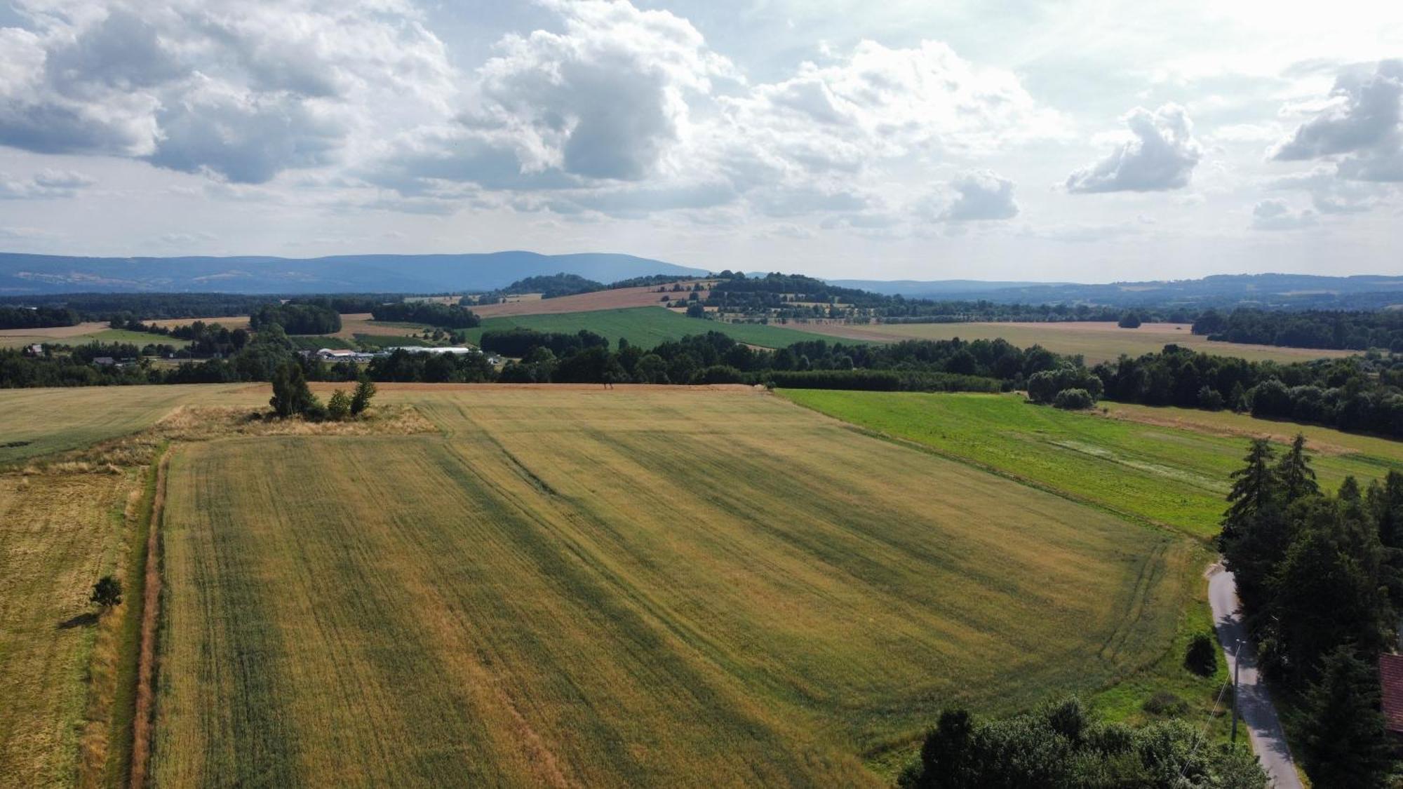 Roze I Jablonie Agroturystyka Gryfow Slaski Luaran gambar