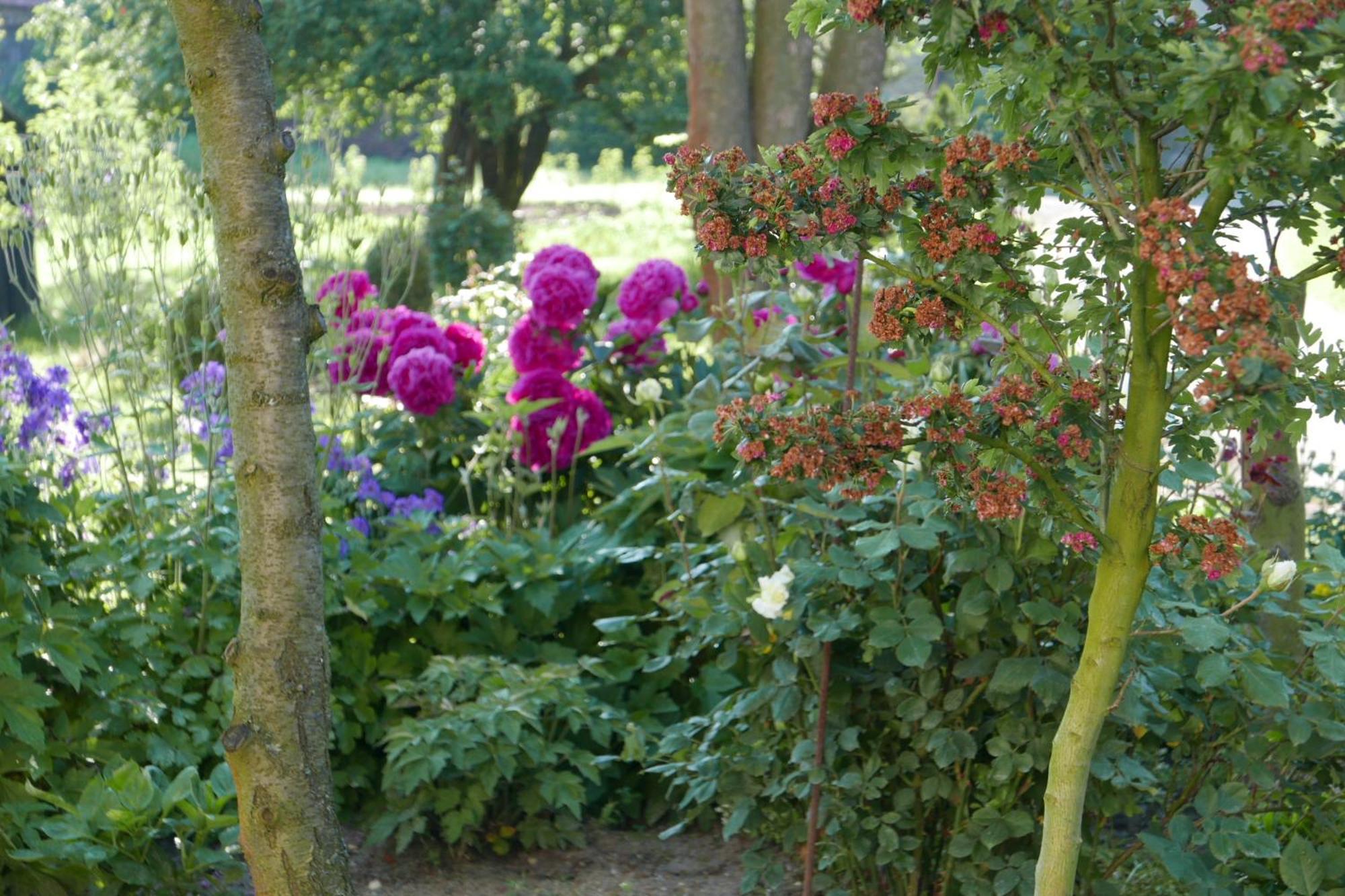 Roze I Jablonie Agroturystyka Gryfow Slaski Luaran gambar