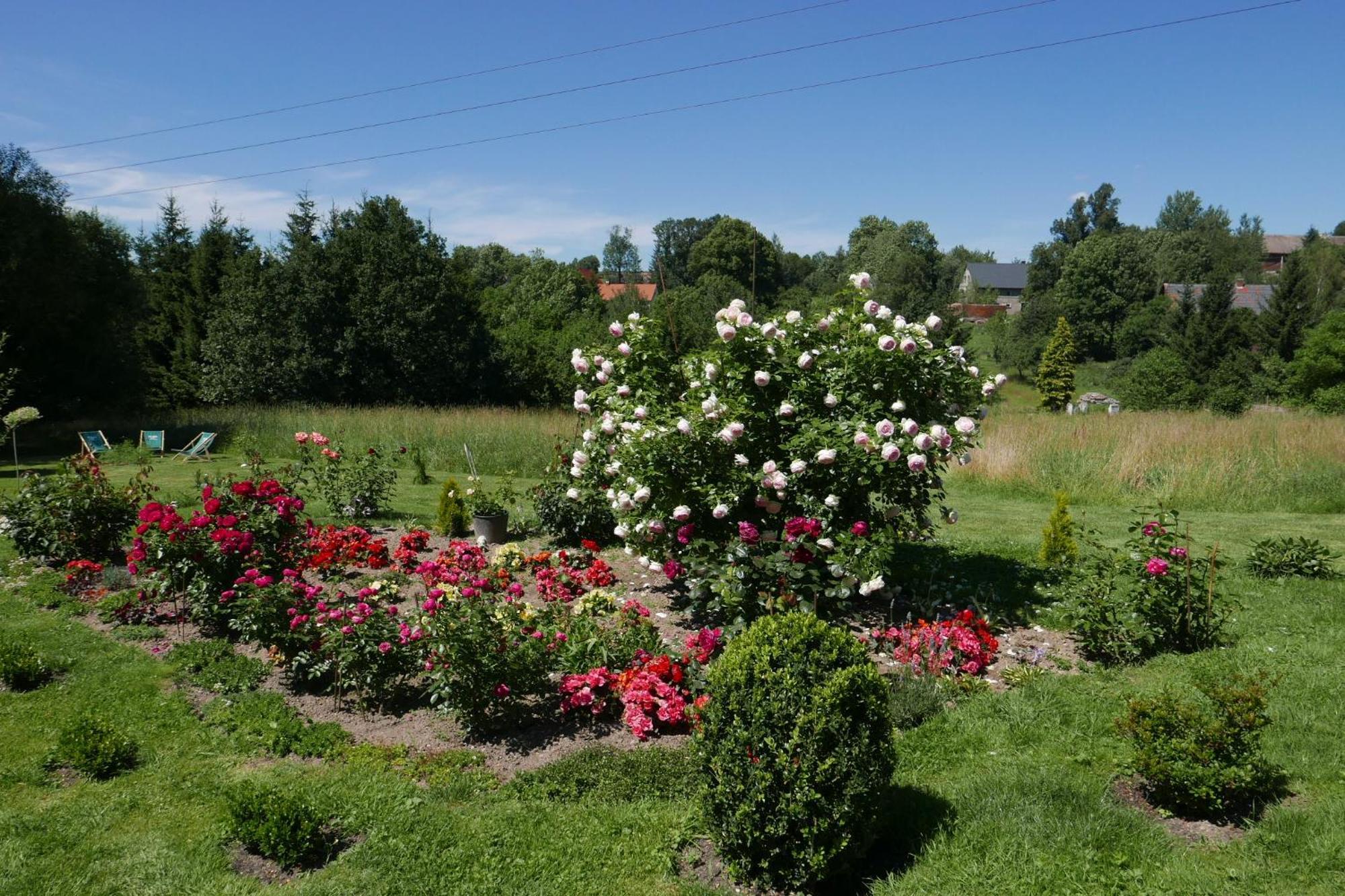 Roze I Jablonie Agroturystyka Gryfow Slaski Luaran gambar