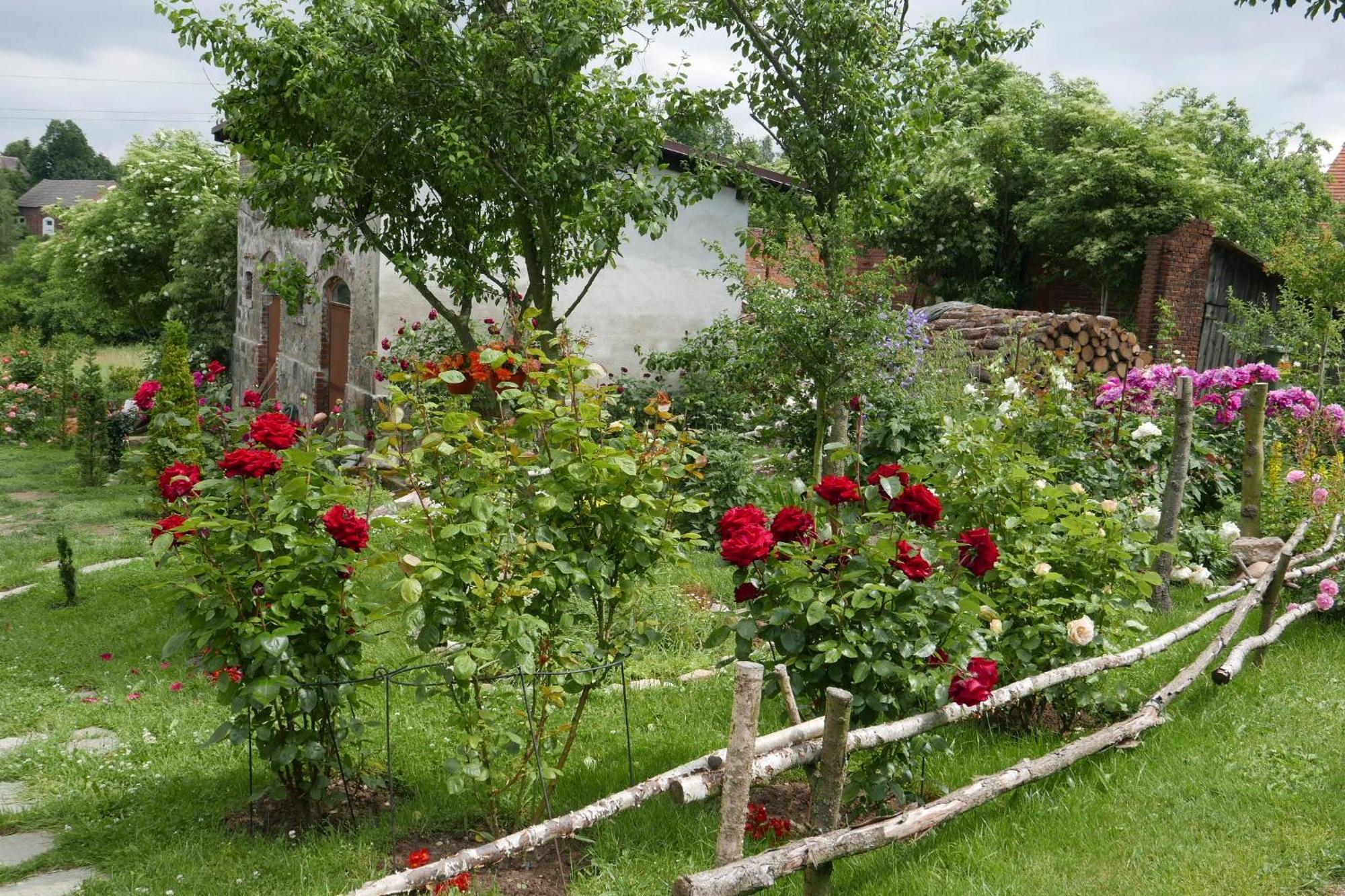 Roze I Jablonie Agroturystyka Gryfow Slaski Luaran gambar